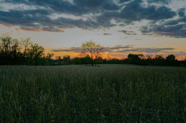 Core Creek Park PA by Kerry Frysinger
